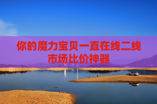 你的魔力宝贝一直在线二线市场比价神器